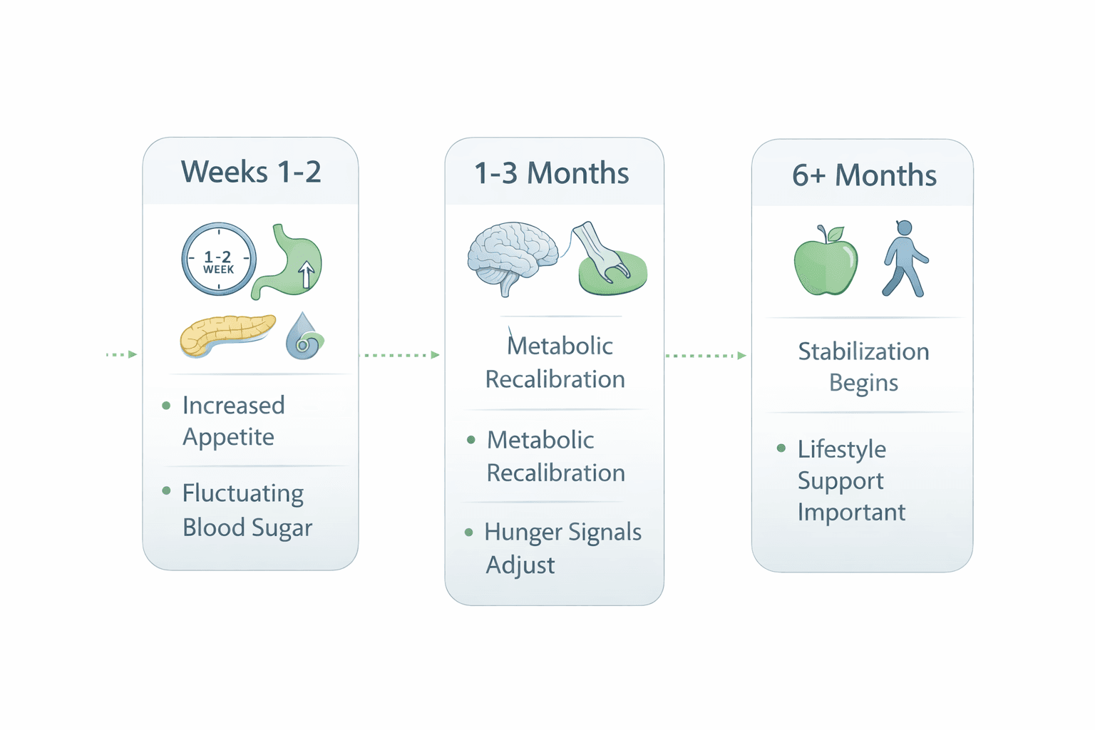 Three-phase timeline after stopping GLP-1 medication: weeks 1-2 showing increased appetite and fluctuating blood sugar, months 1-3 showing metabolic recalibration, and 6+ months showing stabilization with lifestyle support